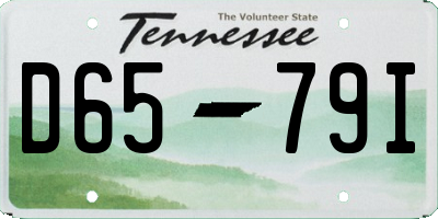TN license plate D6579I