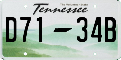TN license plate D7134B