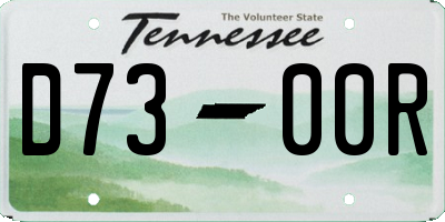 TN license plate D7300R