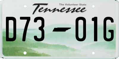 TN license plate D7301G