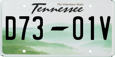 TN license plate D7301V