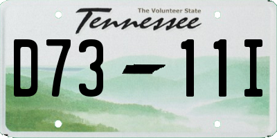 TN license plate D7311I