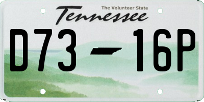 TN license plate D7316P