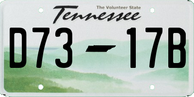 TN license plate D7317B