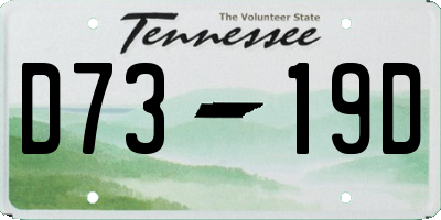 TN license plate D7319D