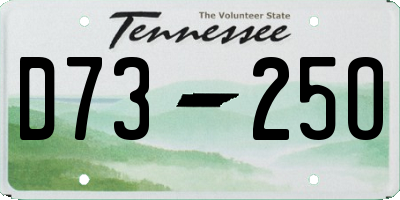 TN license plate D7325O