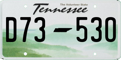 TN license plate D7353O