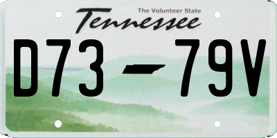 TN license plate D7379V