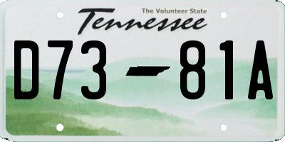 TN license plate D7381A