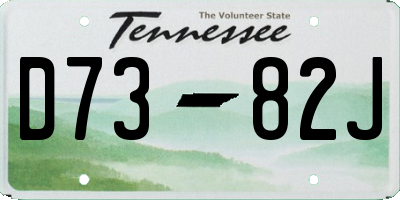 TN license plate D7382J