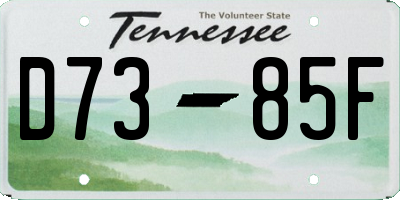 TN license plate D7385F