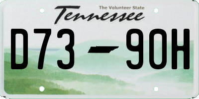 TN license plate D7390H
