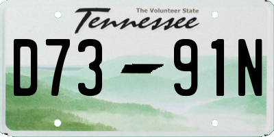 TN license plate D7391N