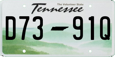 TN license plate D7391Q