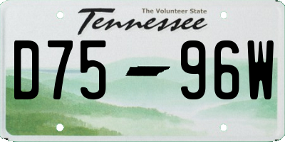 TN license plate D7596W