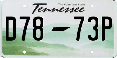 TN license plate D7873P