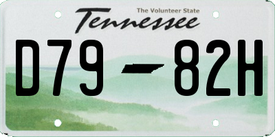 TN license plate D7982H