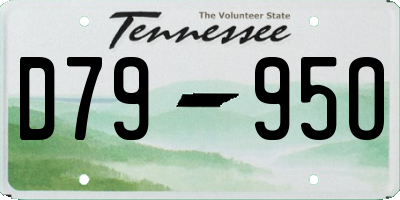 TN license plate D7995O