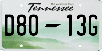 TN license plate D8013G