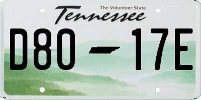 TN license plate D8017E