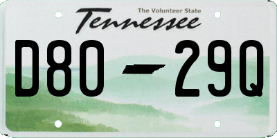 TN license plate D8029Q