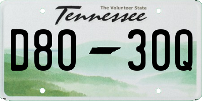 TN license plate D8030Q