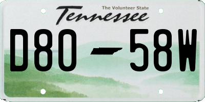 TN license plate D8058W