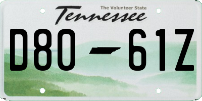 TN license plate D8061Z