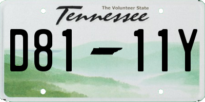 TN license plate D8111Y
