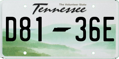 TN license plate D8136E