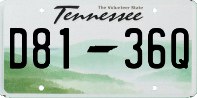 TN license plate D8136Q
