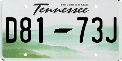 TN license plate D8173J