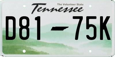 TN license plate D8175K