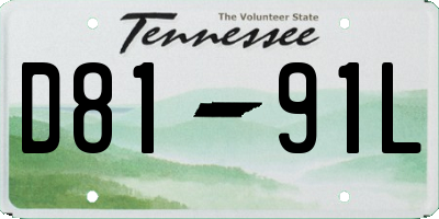 TN license plate D8191L