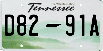 TN license plate D8291A