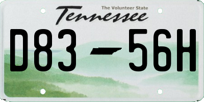 TN license plate D8356H