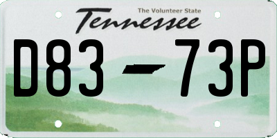 TN license plate D8373P
