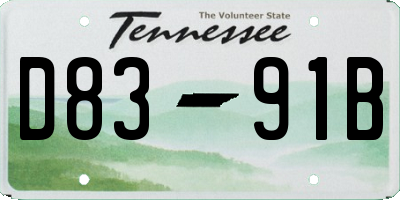 TN license plate D8391B