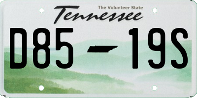 TN license plate D8519S