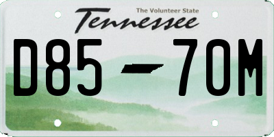 TN license plate D8570M