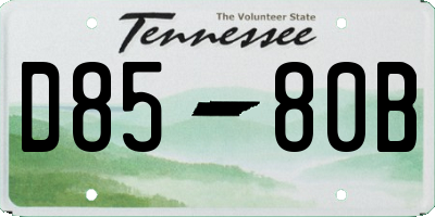 TN license plate D8580B