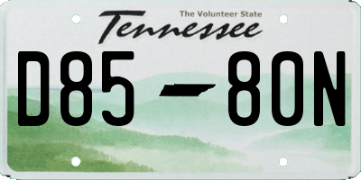 TN license plate D8580N