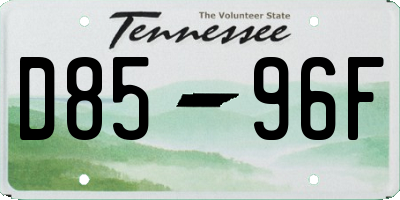 TN license plate D8596F