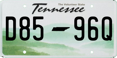 TN license plate D8596Q