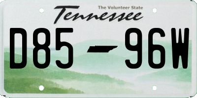 TN license plate D8596W