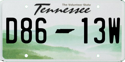 TN license plate D8613W