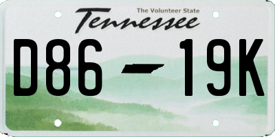 TN license plate D8619K