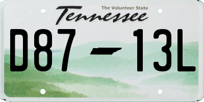 TN license plate D8713L
