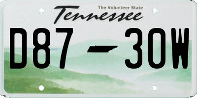 TN license plate D8730W