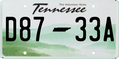 TN license plate D8733A